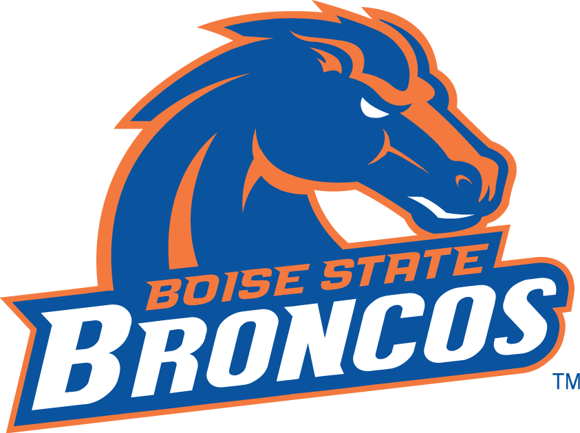 Boise State Broncos 2002-2012 Alternate Logo diy fabric transfer
